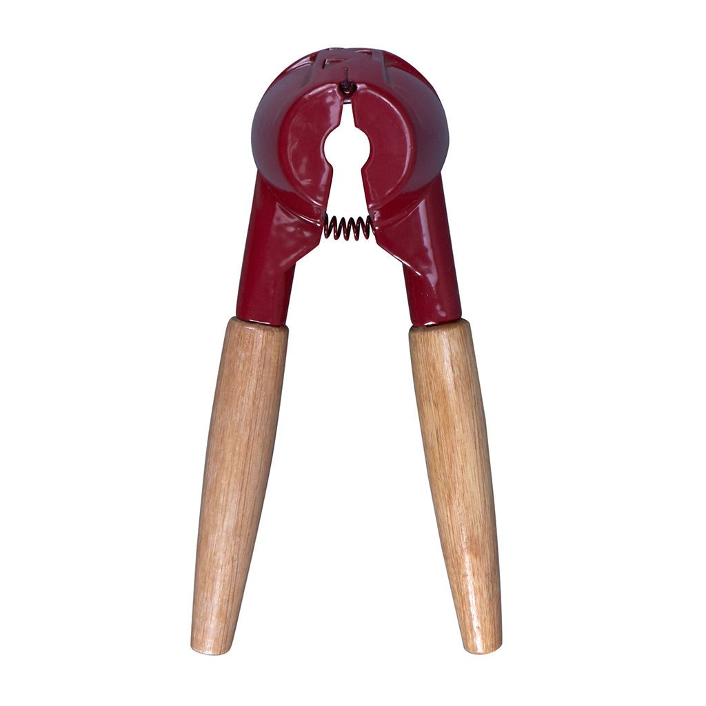 Nussknacker rot