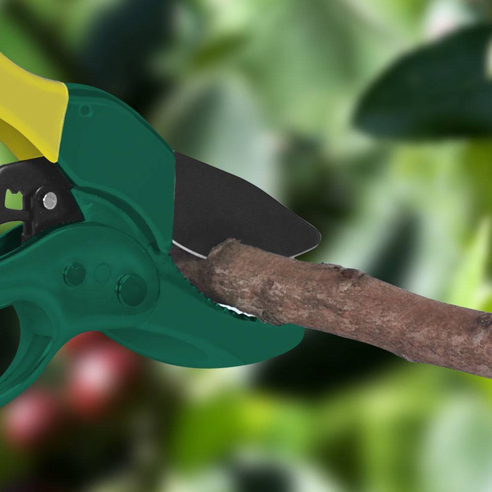 Knarrengartenschere