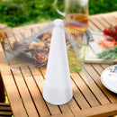 Buzz Push Fliegenwedler